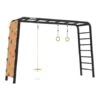 BERG Playbase Large Met Klimmuur, Discschommel En Ringen