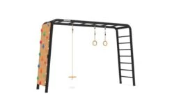 BERG Playbase Large Met Klimmuur, Discschommel En Ringen