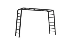 BERG Playbase Large Met 2 Ladders