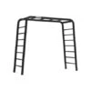 BERG Playbase Medium Met 2 Ladders